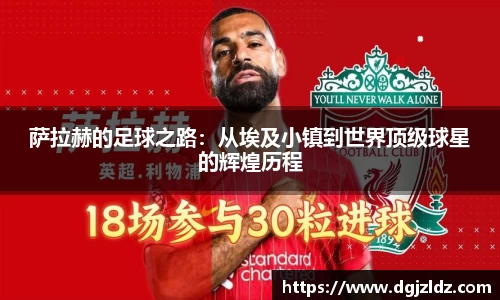 EVO视讯官网